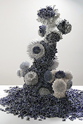 Zemer Peled